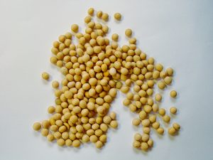 nutrisi