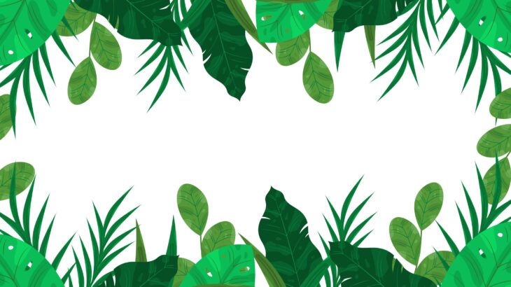 Tumbuhan Hijau yang Cocok untuk Dekorasi Interior Rumah