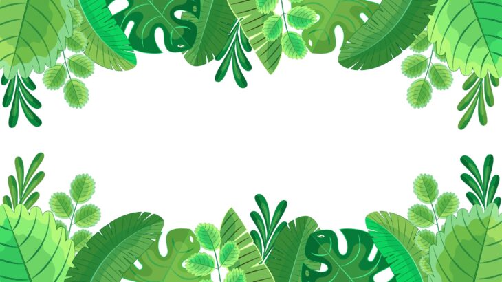 Cara Merawat Tumbuhan Hijau agar Tetap Subur dan Sehat